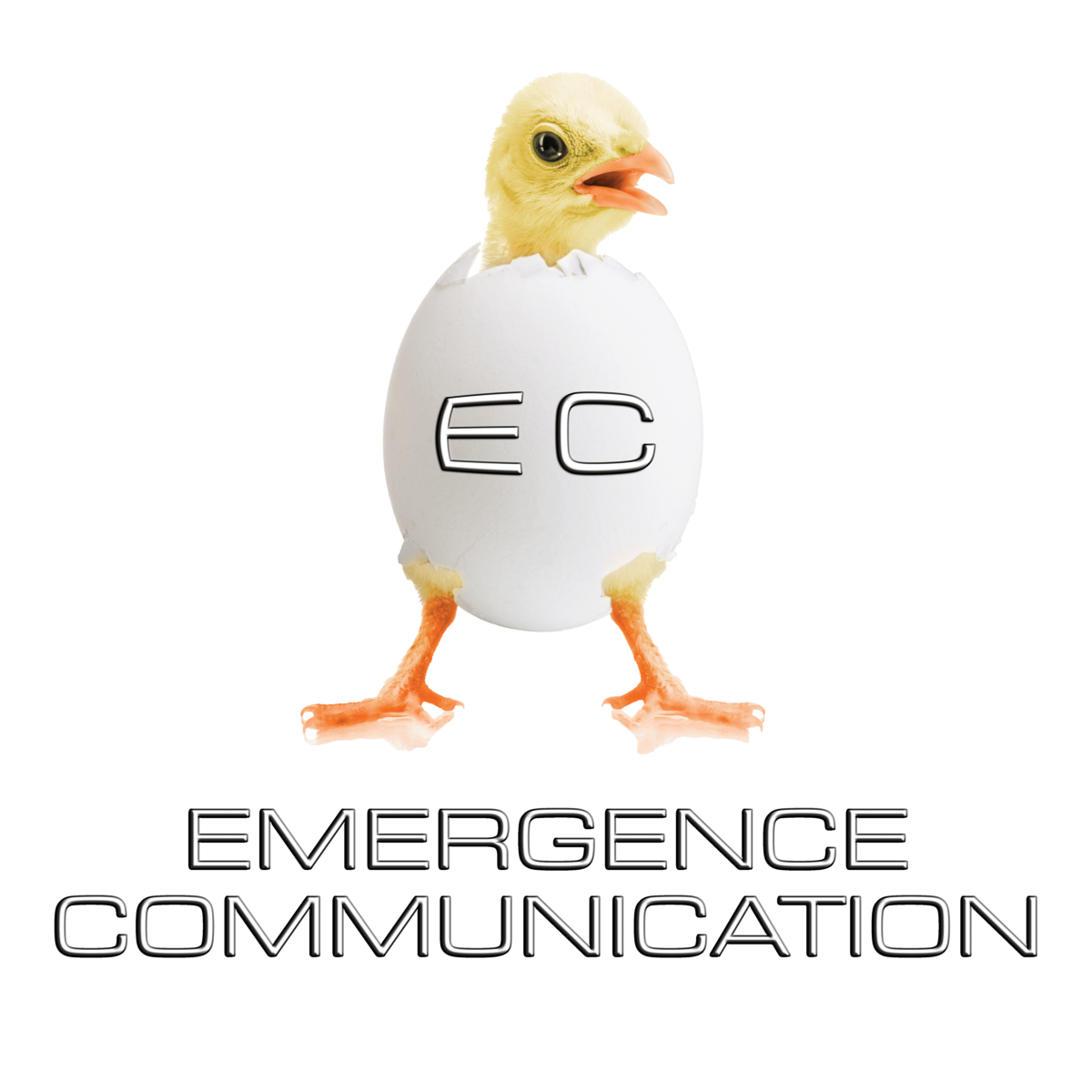 logo d'Emergence Communication avec un poussin qui émerge de sa coquille