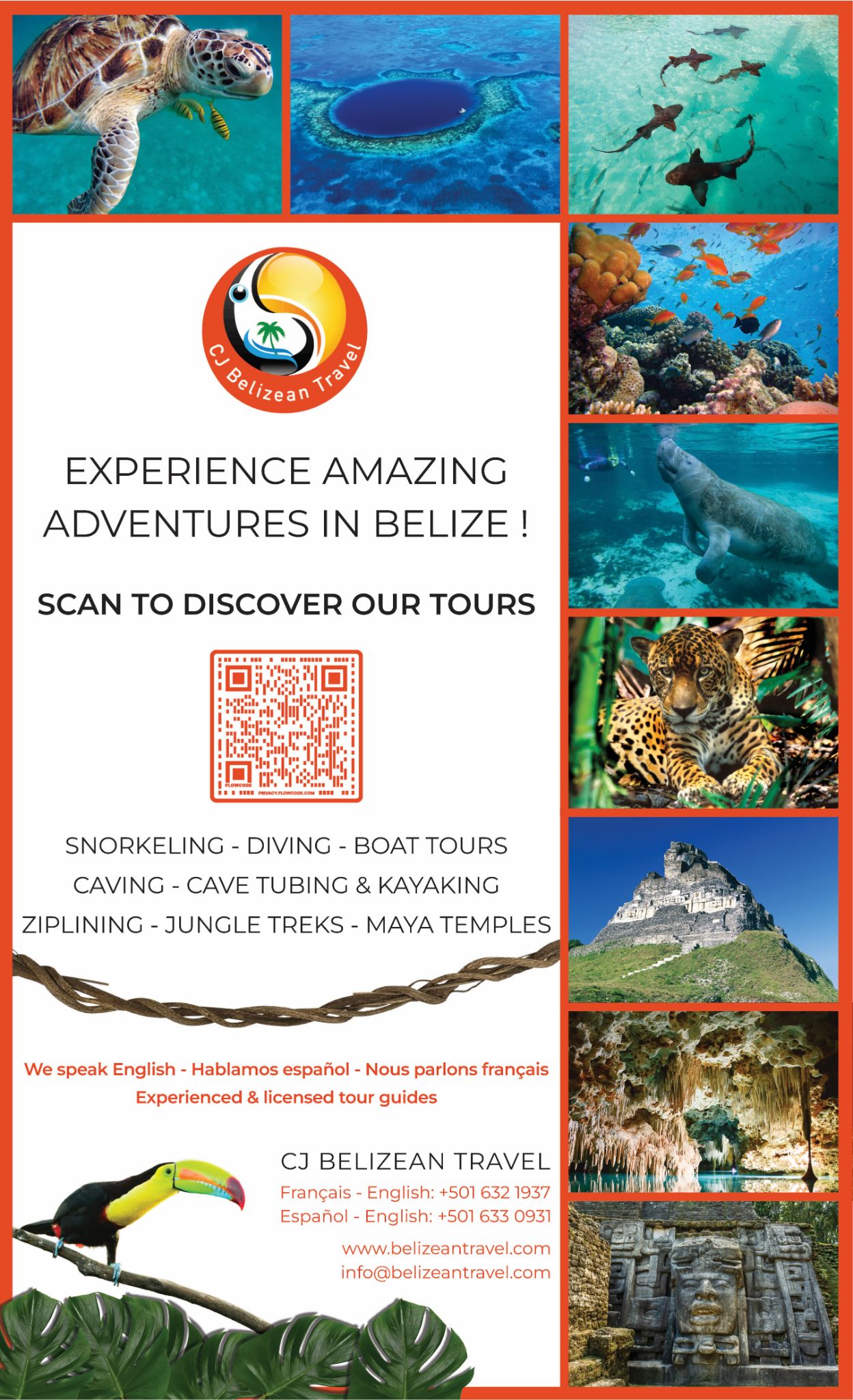 Création d'affiche Affiche publicitaire pour des excursions au Belize