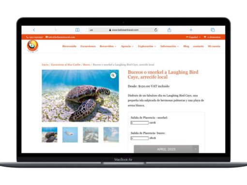 SITE E-COMMERCE TRILINGUE ET STRATEGIE SEO – BELIZEAN TRAVEL
